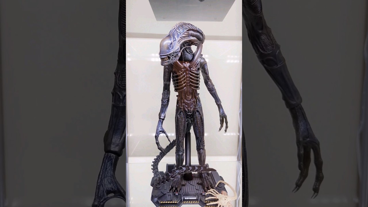 Hot Toys Collection 🔥 