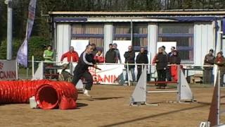 Agility - Cholet - 3D - Absie, Berger Allemand (21/02/10)