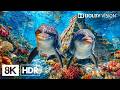 Magnificent Underwater Creatures in 8K HDR | Dolby Vision™