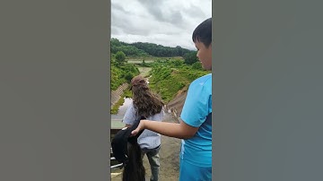 Hai cha con đội mũ tóc giả dễ thương #mutocgia