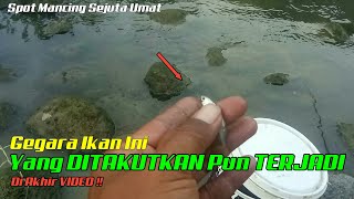 BUKAN REKAYASA..!! Terjadi di Akhir Petualangan| Mancing Di Spot Sejuta Umat