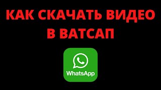 Как скачать видео с ватсапа