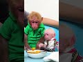 The monkey obediently waits for his mother to feed him #monkeybaby #monkeyshort