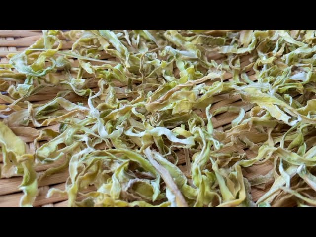 茎レタスを収穫、山くらげの作り方 - YouTube