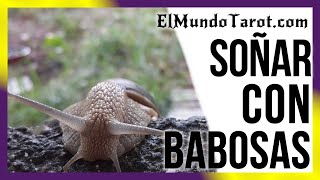 Soñar con Babosas 🐌 【¿Qué Interpretaciones Tiene?】