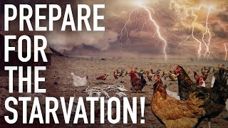 Food And Meat Shortage 2022! Global Starvation Plan Accelerates