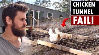 Something KILL3D My Chicken And I Don't Know What or How! Chicken Tunnels Fail