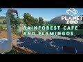 Rain forest Cafe and Flamingo Habitat| the Gage Park Zoo Episode 7| Planet Zoo Sandbox