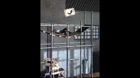 Swan Dive Into the Asphalt