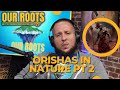 Orishas in nature pt2 joseph baba ifa our roots podcast santeria lukumi