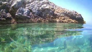 Ladonia hotels Adakule Подводный мир Эгейского моря/ underwater world of Aegean sea 🐟🐠🐡