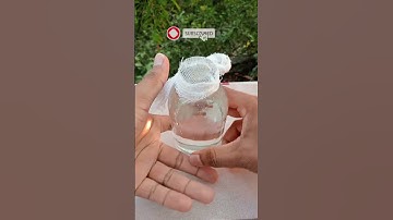 Surface Tension | Water bottle and net magic experiments | Easy experiments #trending #shorts