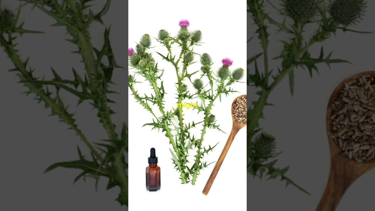 Herbal Help - Unlock the Secrets of Blessed Thistle 