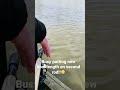 Feeder Run…. Feeder Take…. Carp run just as I was putting a fresh hooklength on second rod!😬