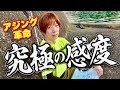 【アジング革命】僕が密かに使ってきた究極感度のラインを教えます。