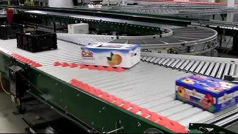 Speed 309FPM 100CPM Shoe Sorter | Equipment Systems Corporation