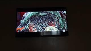 Watching Looney Tunes Back In Action 2003 On Univision