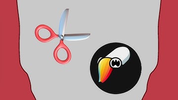 ToonSquid Tutorial how to cut.