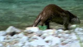 Tuna Nehri - Belgesel