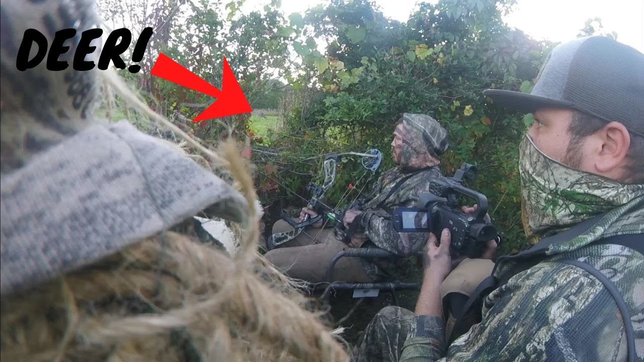 First Deer DOWN Early BOW Season! YouTube