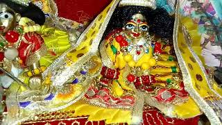 Aaj 16 November pr humare laddu gopal ji or Radha Rani ke shringar darshan ?❤️ Radhey Radhey