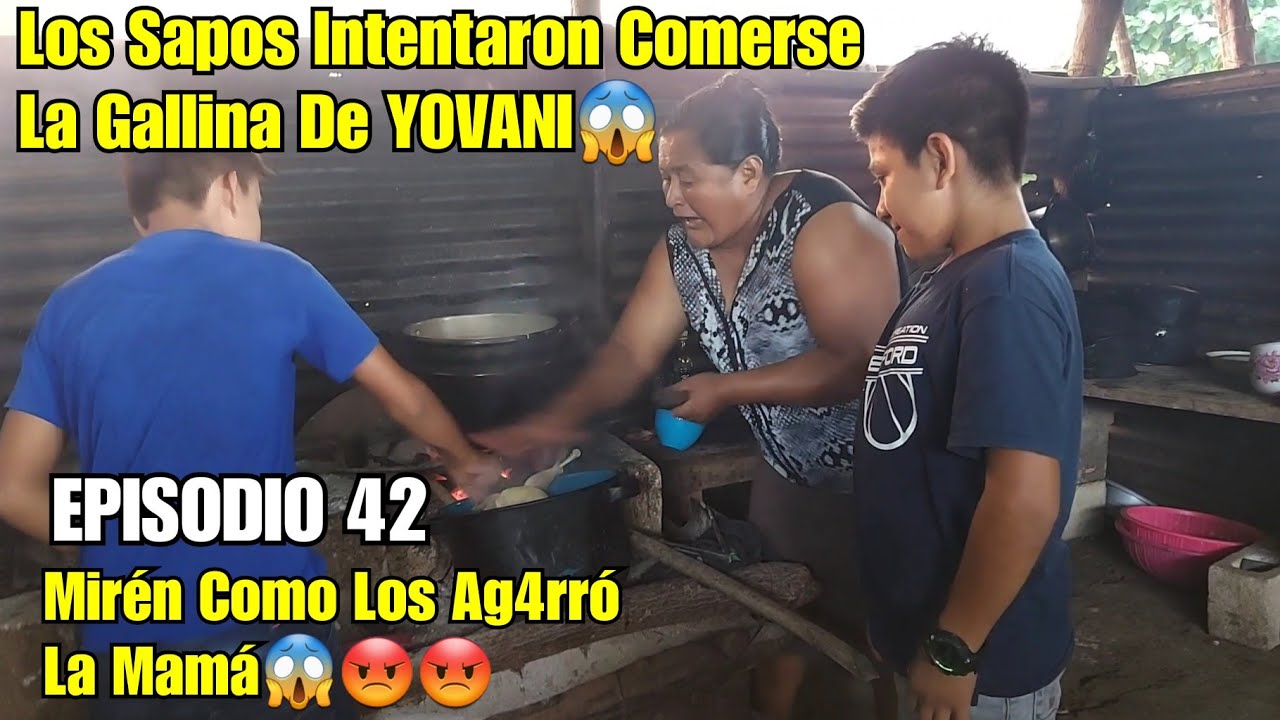 Los SAPITOS intentaron Comerse La Gallina De La Pedida😱 Mirén Como Los Ag4rró La Mamá😱😡😡
