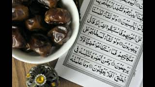 quran recitation qari tawfeeq as sayegh surat Al Asr