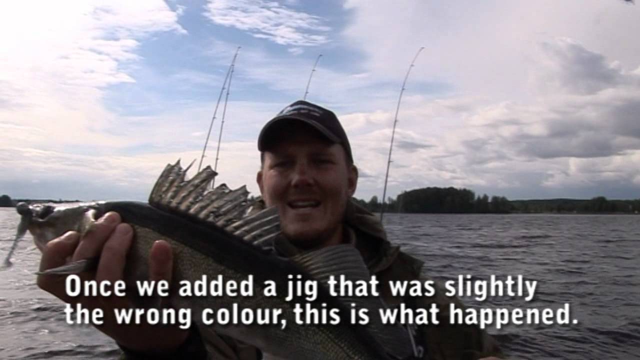 fishing in finland - jigging for zander on lake kyrösjärvi