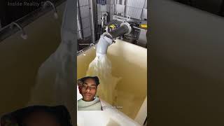 😱 How Pure Paneer Is Made in Factory 🧀 | Shocking Process!