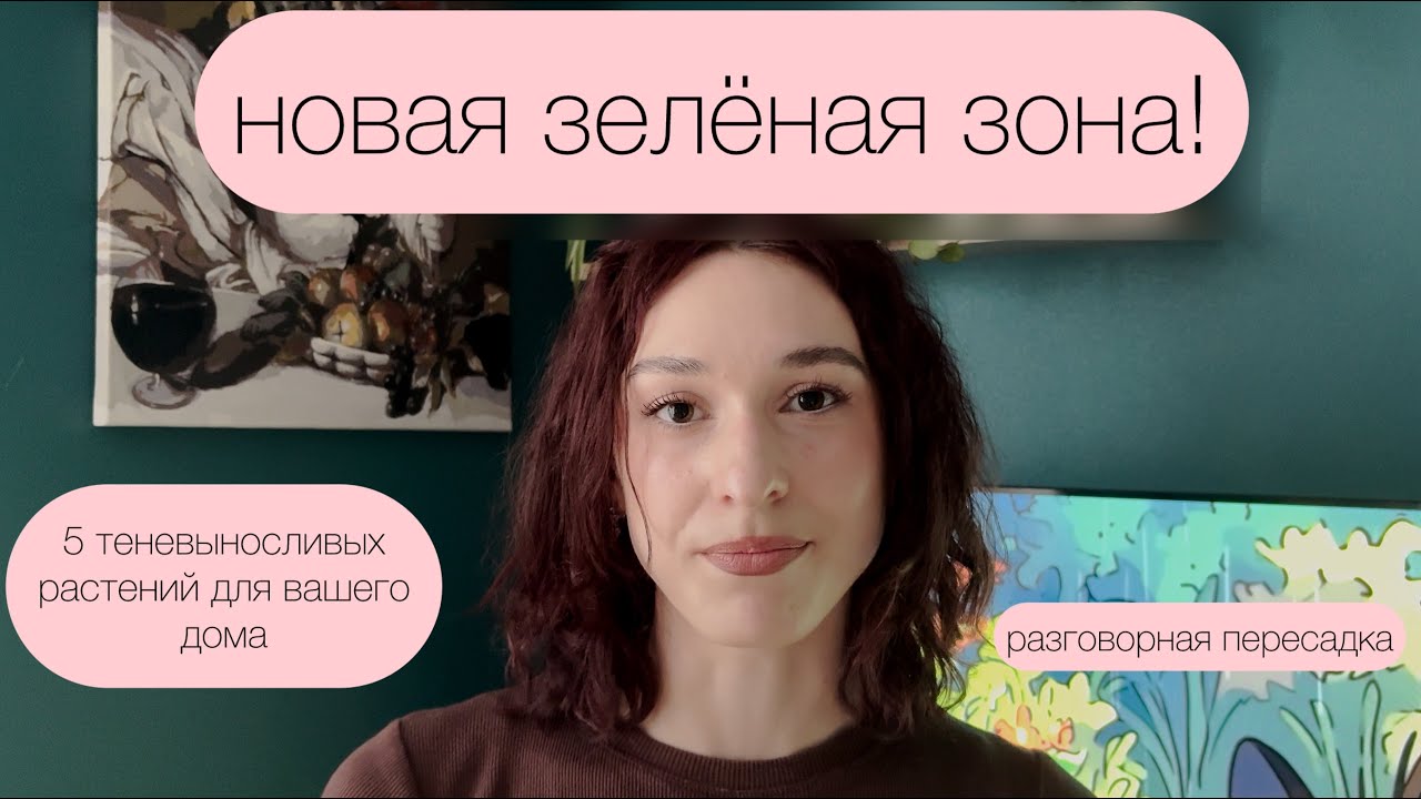 НОВАЯ ЗЕЛЁНАЯ ЗОНА! Организация без досветки, теневыносливые растения, разговорная пересадка