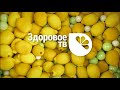 Промо ролик телеканала Здоровое ТВ