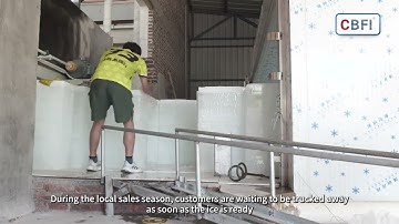 CBFI 25 tons ice block machine with ice pushing device labour saving and effective for fish business