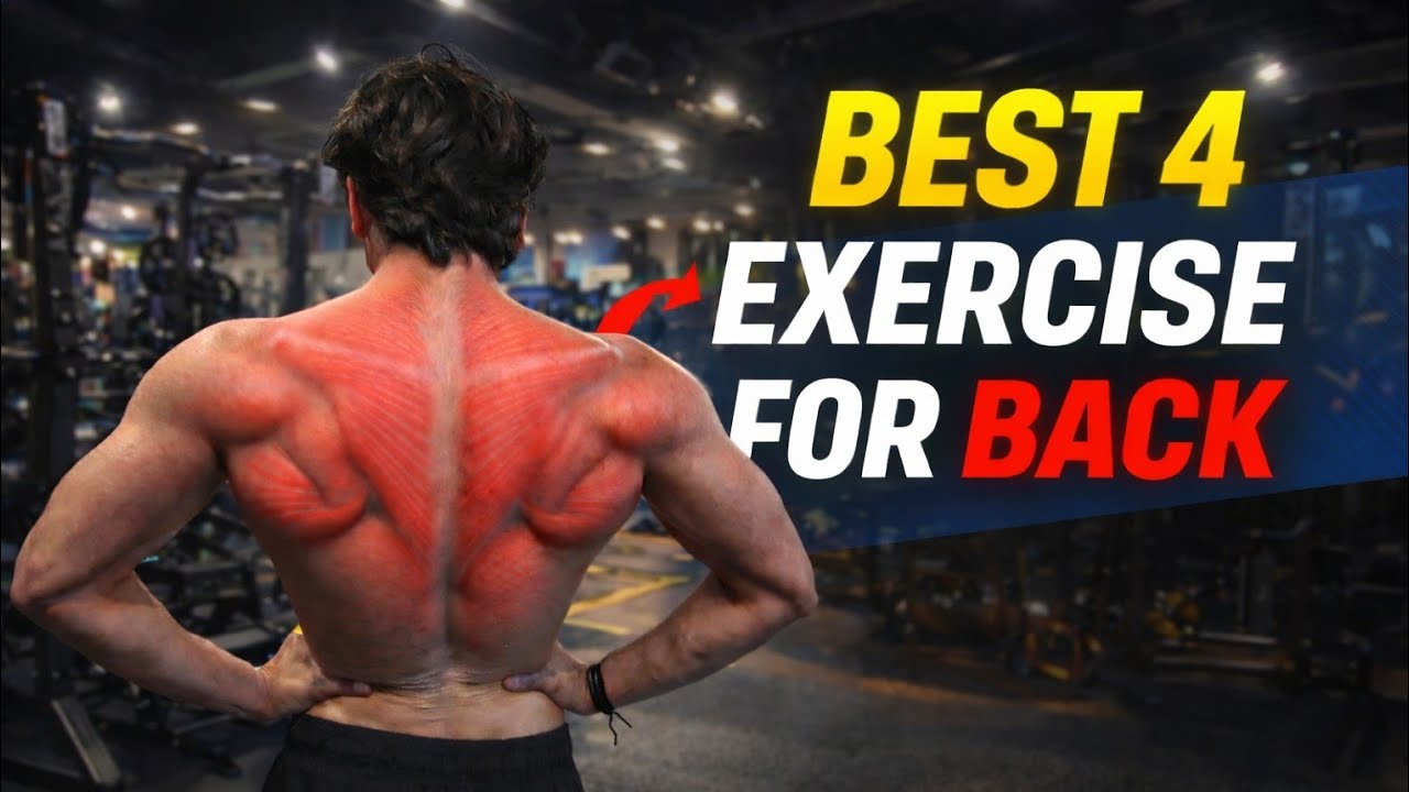 4 best exercise for back part / biceps exercise 