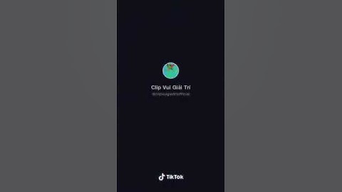 Cốc gấu dán tường siêu chắc