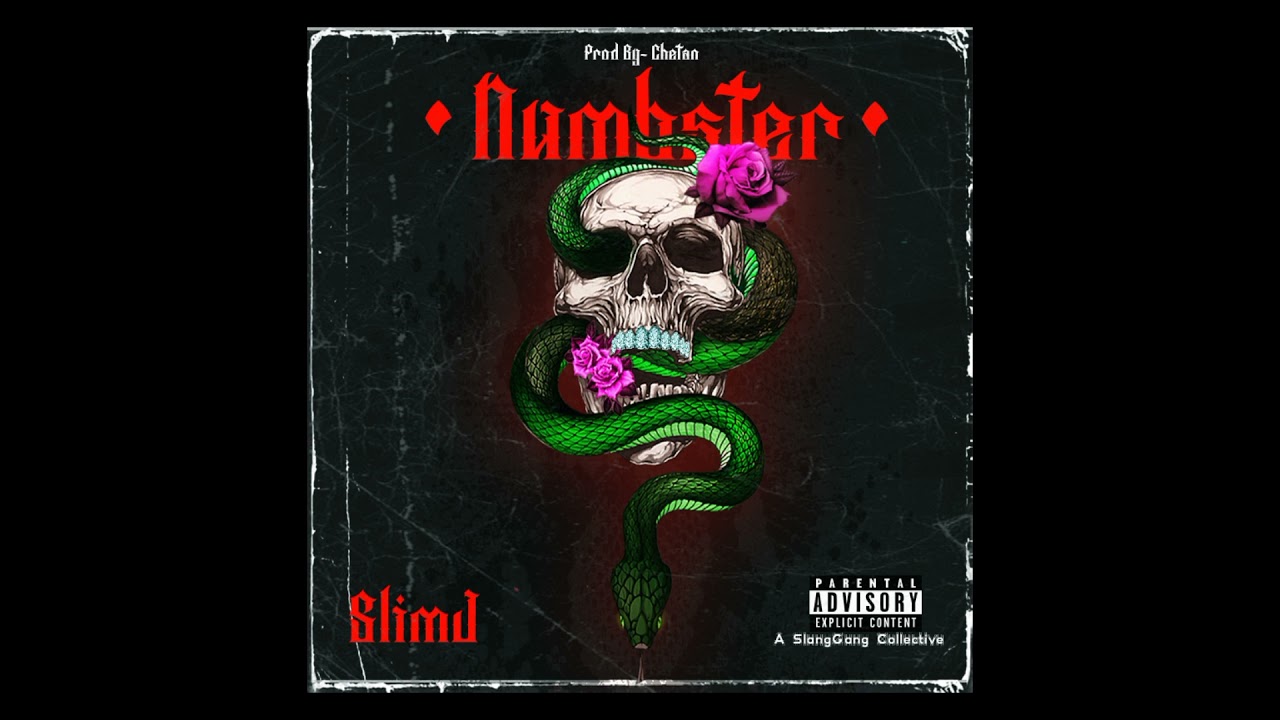NUMBSTER - SlimJ (Prod. Chetan) Official Audio
