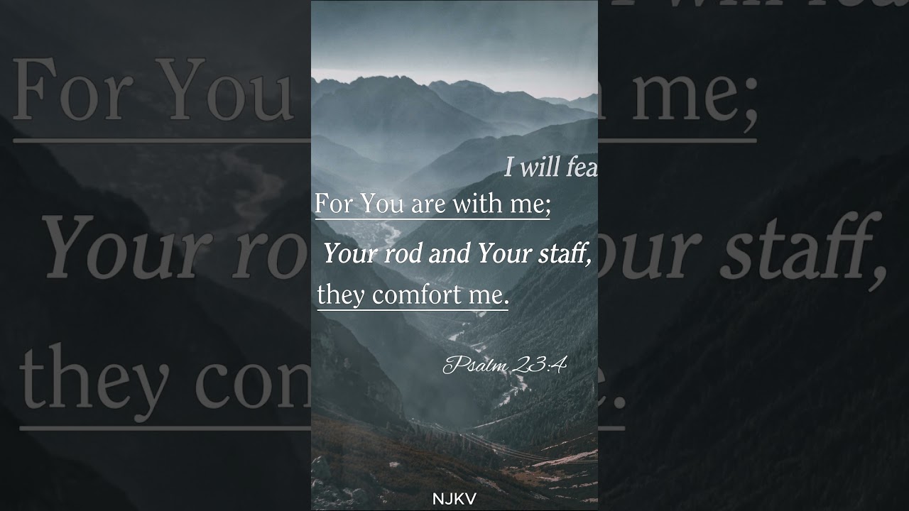 Verse of the Week 14  