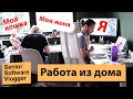 Один день работы из дома / программист на удаленке