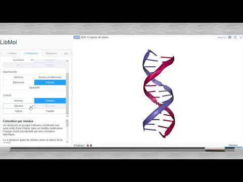Vídeo: Com Imprimir Un Llibre Sobre Molècules D’ADN
