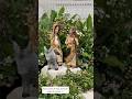 Esse casal arrasa por onde passa #sagradafamília #sagradafamíliadenazaré #nossasenhoradodesterro