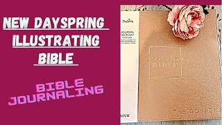 NEW Dayspring Illustrating Bible/The Gospels