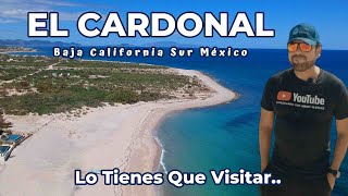 Asi Luce EL CARDONAL Baja California Sur México Lo Tienes que Conocer..