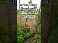 #wazbangla #new #islamicknowledg #youtube #anisur_rahman_asrafi #automobile #waj #duet #shortvideo