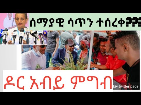 ቪዲዮ: ምርጫ ፣ የውሸት ምርጫ እና አዲስነት። ስለ ጌስታታል - ለደንበኞች የሚደረግ ሕክምና