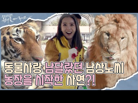동물사랑이 남달라 곰까지?! 남상노씨가 농장을 시작하게 된 사연은?! I 원더풀 마이 라이프 I EP19 I OLIFE채널 I 매주 수요일 저녁 8시 30분