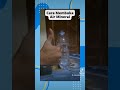 Cara membuka botol air mineral