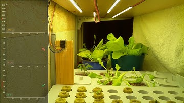 Time lapse of Salad with Raspberry Pi (TEST)