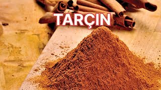 Tarçın Nedir? - Nasıl Hasat Edilir - Seylan Tarçını - Çin Tarçını - Faydaları