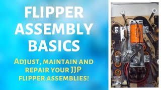 Flipper Assembly Basics Net Worth