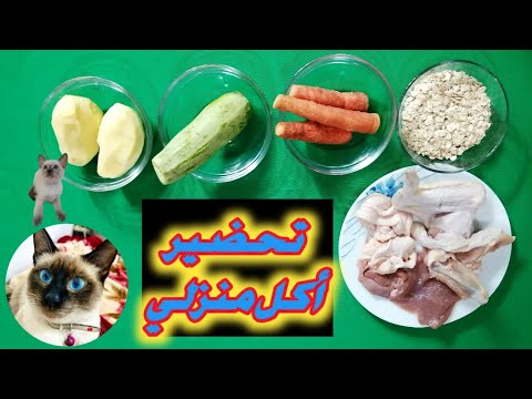 تحضير أكل منزلي للقطط طريقة سهلة وغير مكلفة أكل قطط طعام القطط  