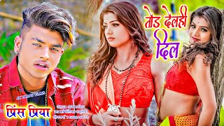 तोड़िये देलही दिल गे - Todiye Delahi Dil Ge - Prince Priya - Jk Yadav Films - Maithili Song